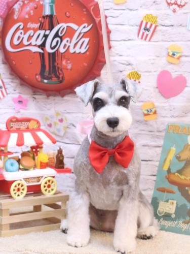 20230924ふたばちゃん